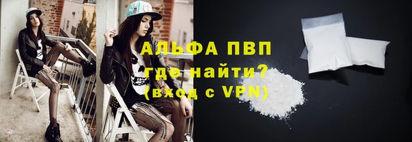 индика Белокуриха