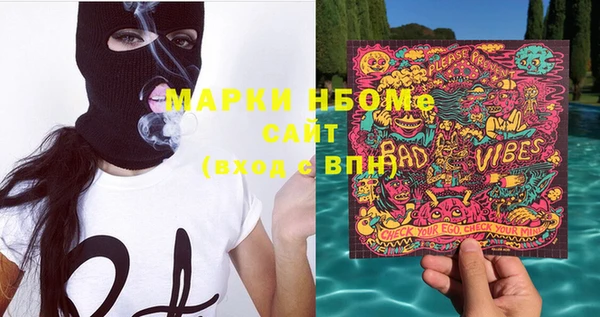 индика Белокуриха