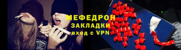 индика Белокуриха