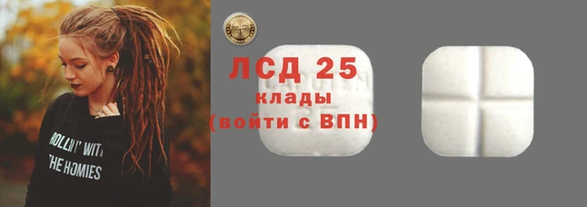 стаф Беломорск