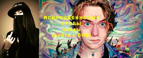 стаф Беломорск