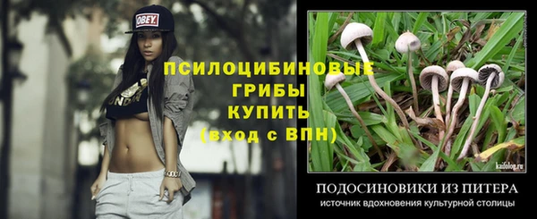 индика Белокуриха