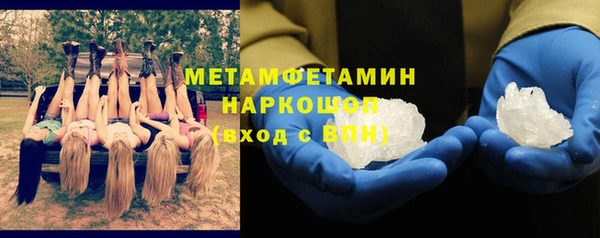 индика Белокуриха