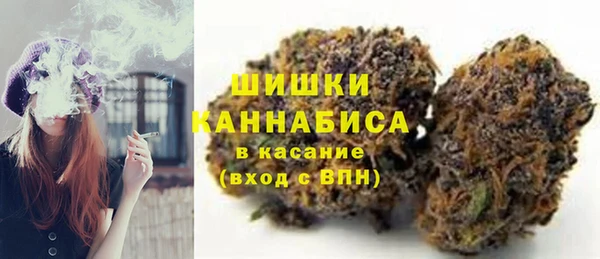 индика Белокуриха