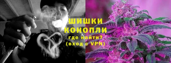индика Белокуриха