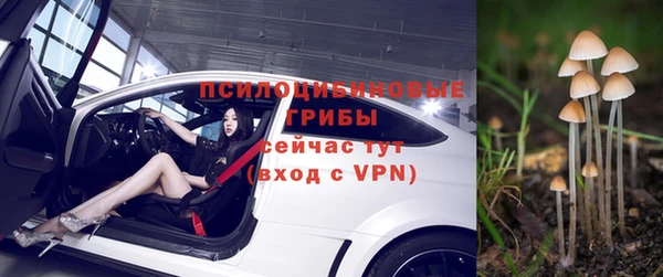 стаф Беломорск