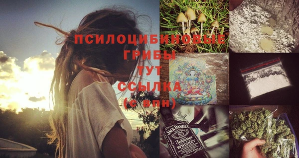 стаф Беломорск