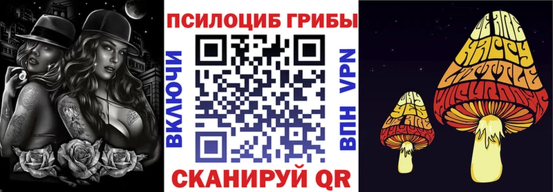 мега tor Великие Луки Псилоцибиновые грибы прущие грибы