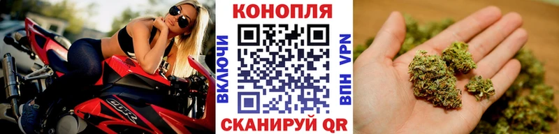 Конопля VHQ  Великие Луки 